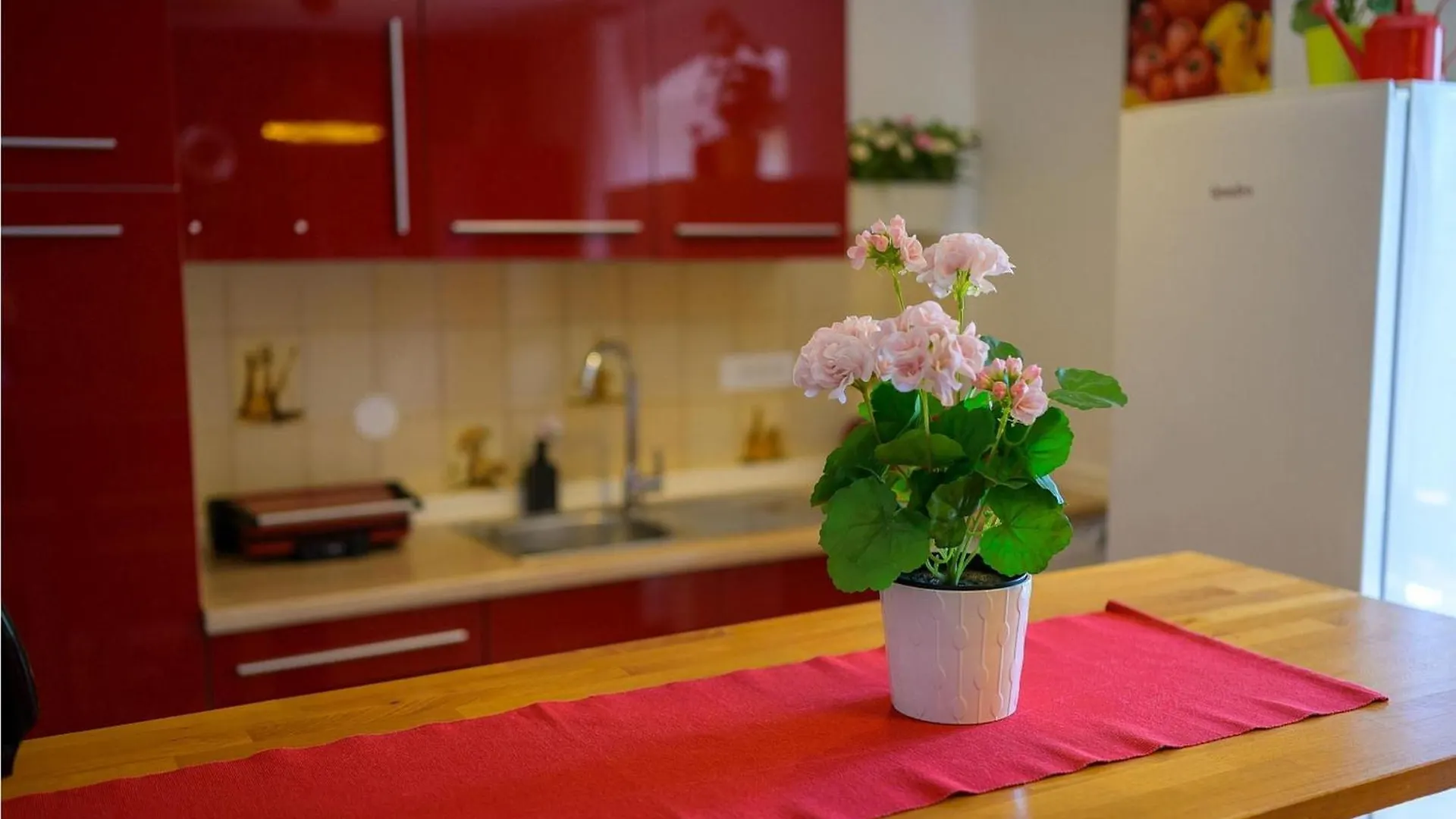 Casa Bizzarra Villa Rovinj Holiday home